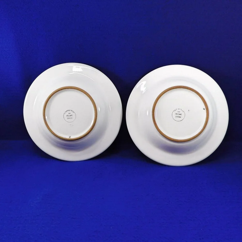 2 Williams Sonoma Soup Pasta Rimmed Bowls Tournesol from Italy